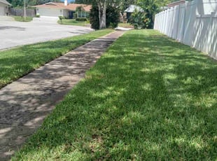 Amanda K.'s turf care service result
