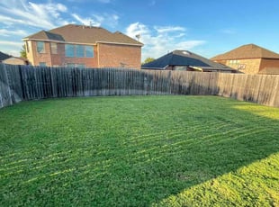 Rachel E.'s turf maintenance service result