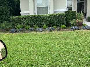 Tara B.'s Bush Trimming service result