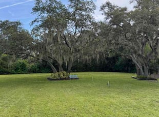 Lane W.'s grass maintenance service result