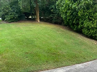 Chris S.'s grass maintenance service result
