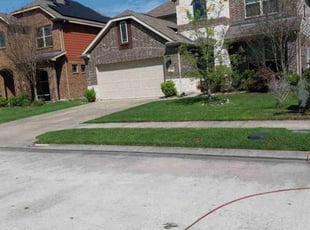 Terelynn T.'s lawn care services service result