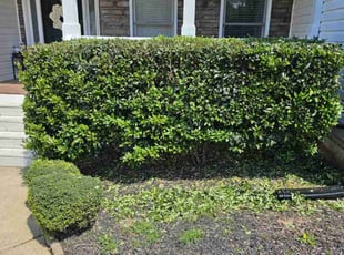 Ron P.'s Bush Trimming service result