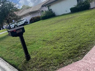 Jack C.'s lawn care service result