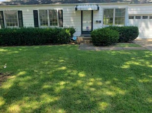 Loretta B.'s lawn care service result