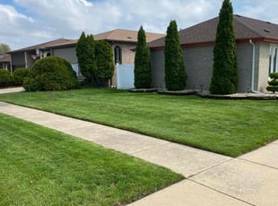 Joni V.'s grass cutting service result