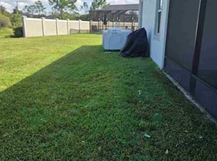 Maria P.'s lawn care service result