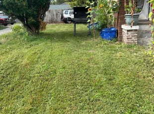 Maralee P.'s turf maintenance service result