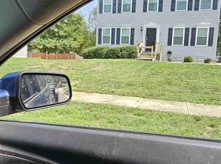 Lloyd L.'s Bush Trimming service result