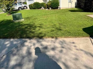 Derek M.'s turf care service result
