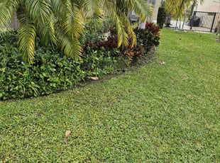 Sheila P.'s turf maintenance service result