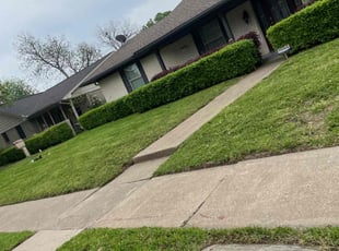 Patrick S.'s Bush Trimming service result