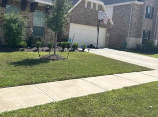 Brenda C.'s turf maintenance service result