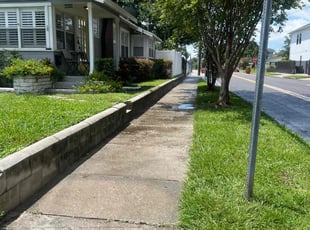 James C.'s lawn care services service result