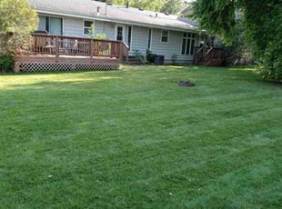 Amy W.'s lawn service service result
