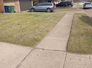 Maurice B.'s turf care service result