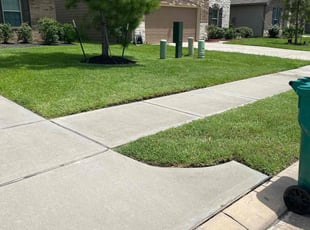 Carmen M.'s lawn care services service result
