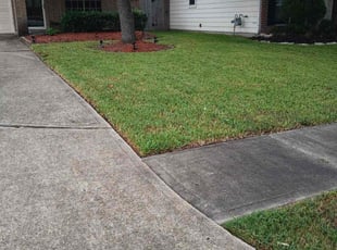 Katherine J.'s lawn care services service result