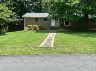 Michael L.'s turf care service result