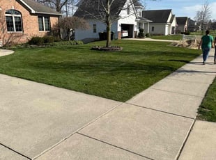 Wendy V.'s grass maintenance service result