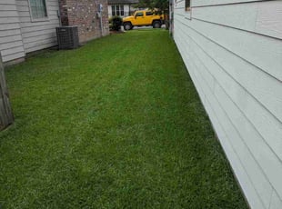 Hal P.'s grass cutting service result