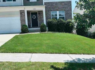 Brad H.'s lawn care services service result