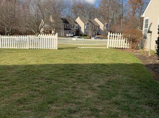 Michael D.'s turf maintenance service result