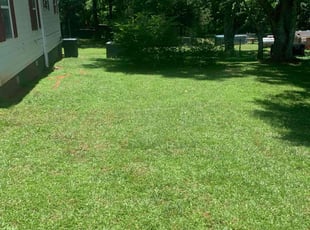 Angela H.'s lawn maintenance service result