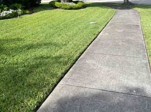 Terrance J.'s turf maintenance service result