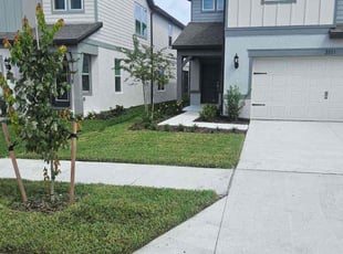 Nyemah C.'s lawn care service result