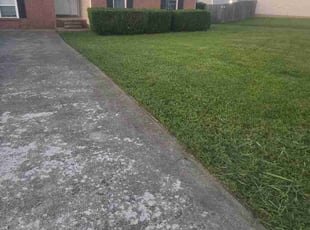 Larry M.'s grass maintenance service result