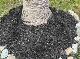 Liz E.'s Mulching service result