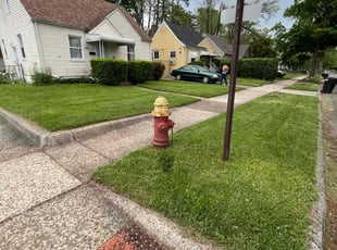 Jennifer T.'s grass maintenance service result