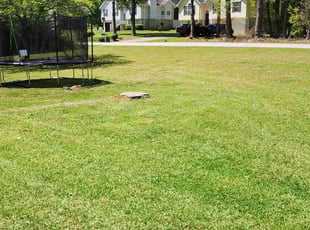 David D.'s turf maintenance service result