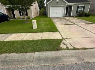 Katrina J.'s Long Grass Cleanup service result