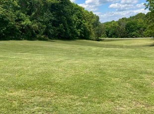 Kenneth C.'s grass maintenance service result