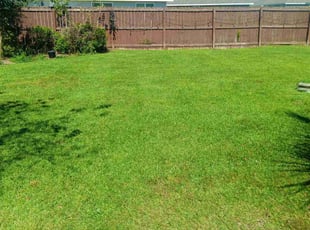 Christina H.'s lawn service service result