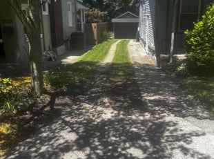 Johnetta E.'s lawn maintenance service result