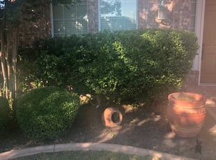 William C.'s Bush Trimming service result