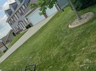 Deena M.'s turf maintenance service result