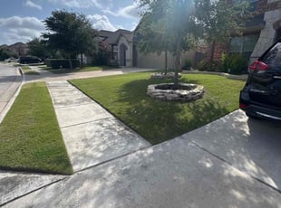 Deborah B.'s lawn maintenance service result
