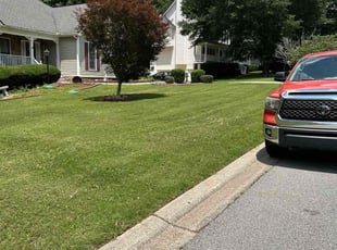 Shannon R.'s lawn care services service result