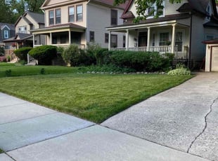 Jerry P.'s turf maintenance service result