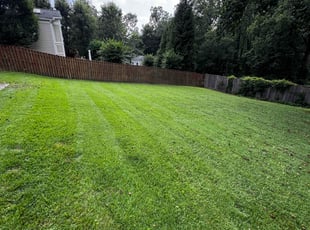 Emily A.'s lawn care service result