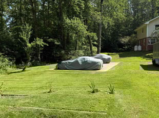 Zena J.'s turf maintenance service result