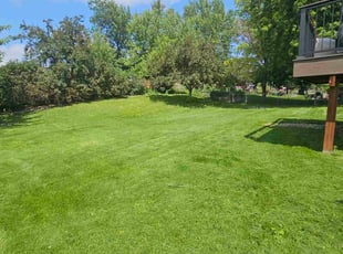 John G.'s Long Grass Cleanup service result