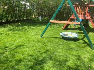 Tammy S.'s lawn care service result
