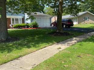 Kelsey S.'s turf care service result