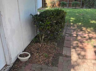 Dan F.'s lawn care services service result
