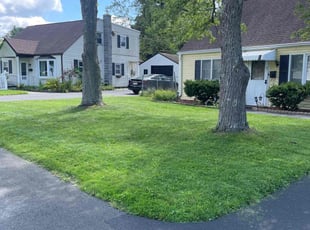 John L.'s lawn maintenance service result